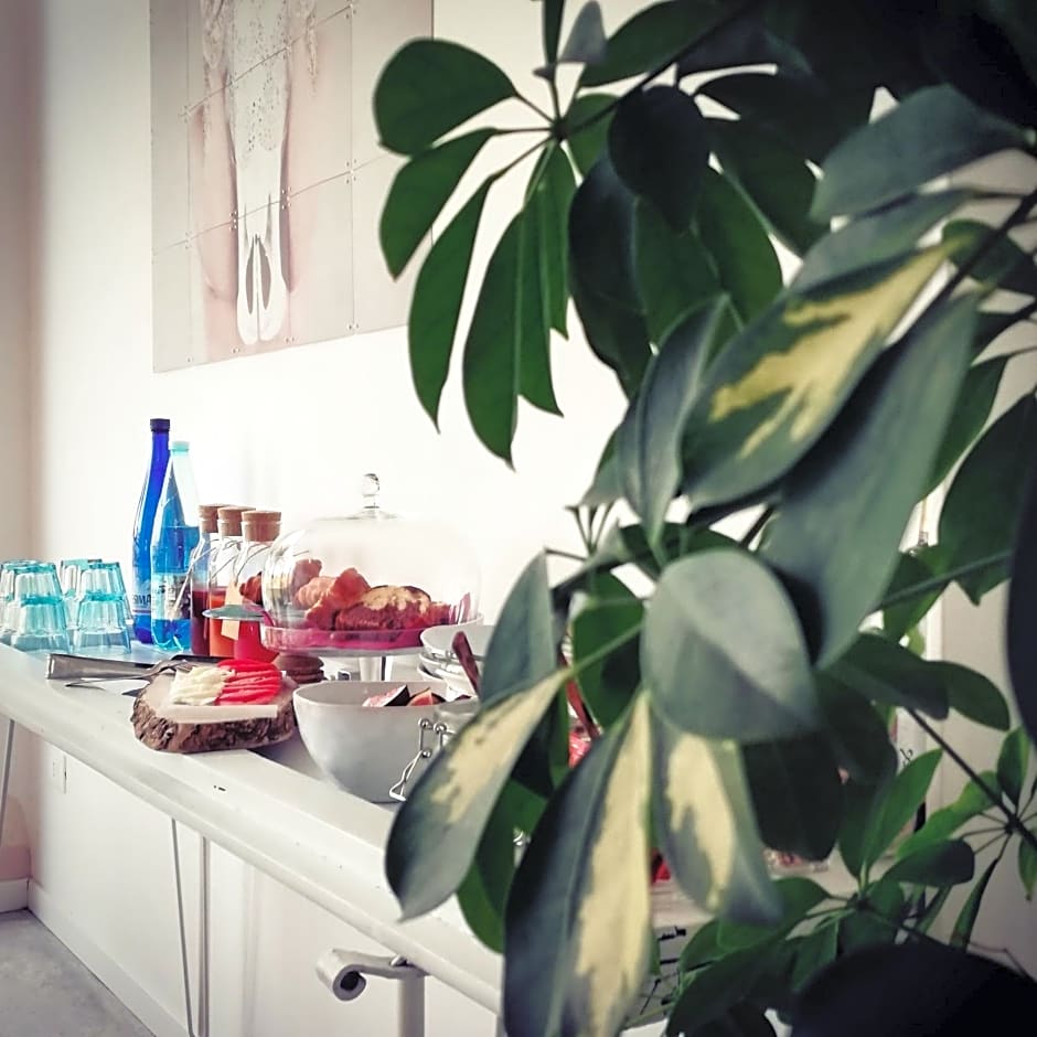 Bed & Breakfast IL PAJO