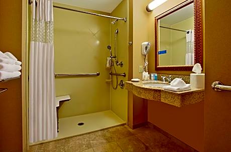 1 King Accessible 3X3 Shower Non-Smoking