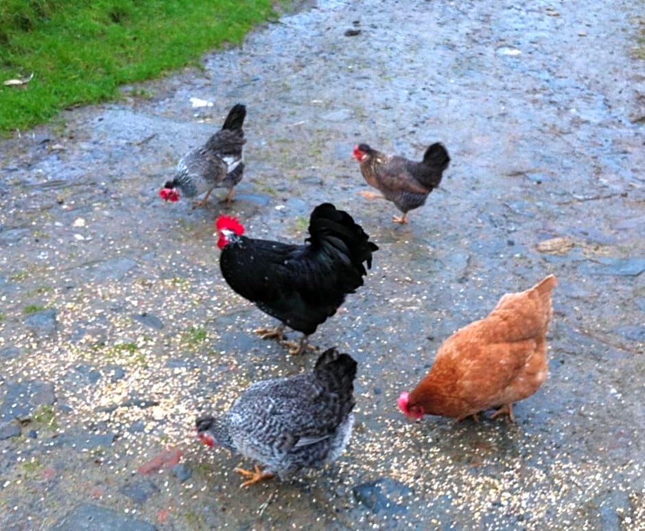 Five Saints Farmhouse B&B