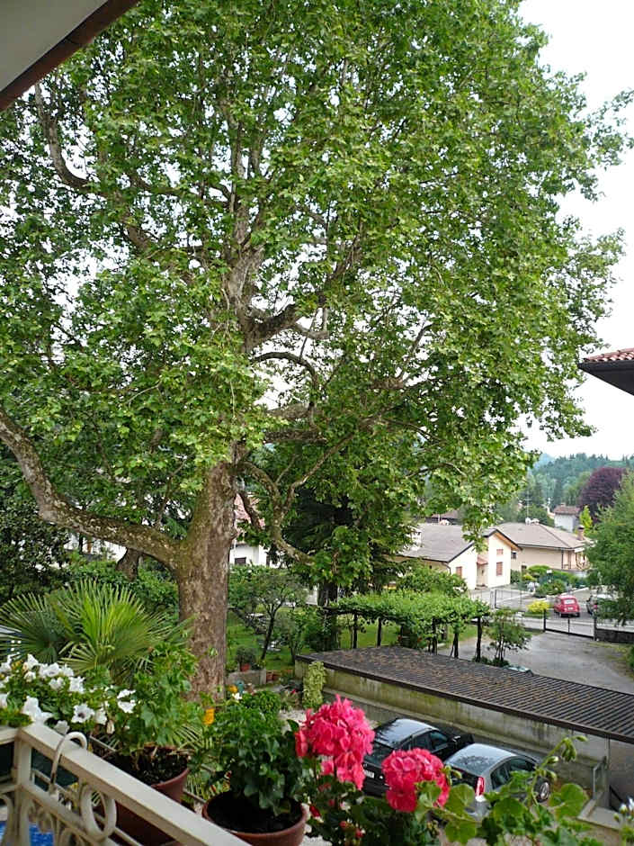 Albergo Centrale Tarcento