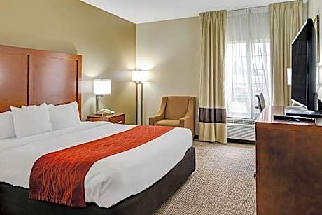 1 King Bed Nonsmoking