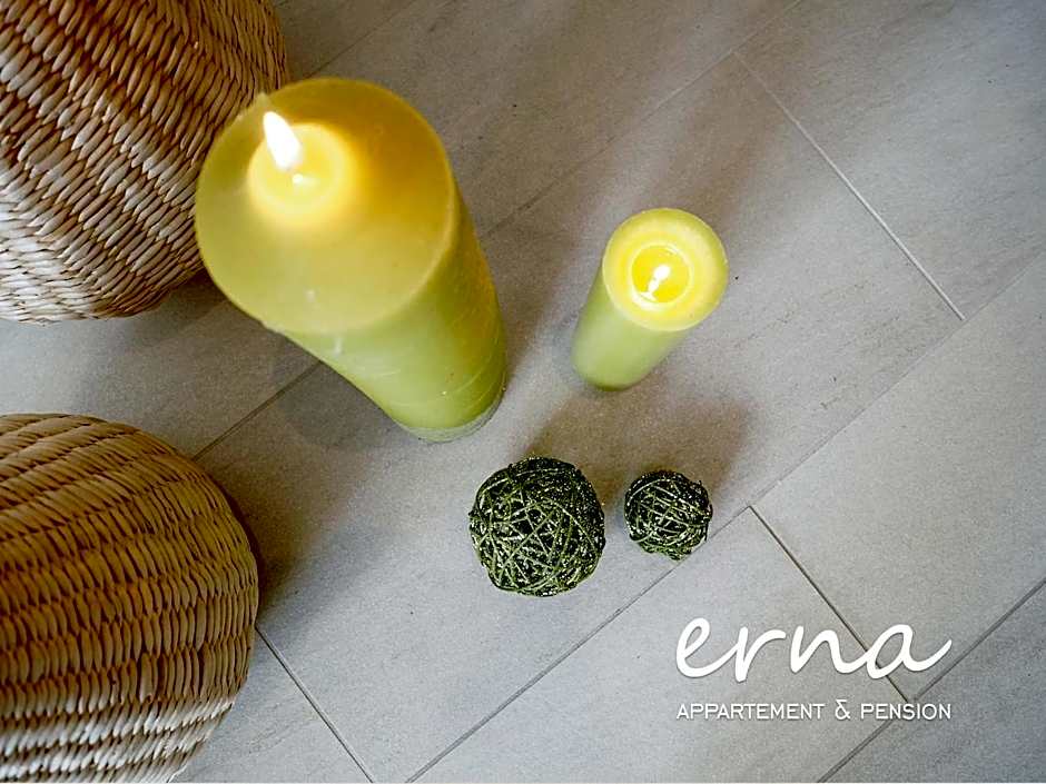 Pension Apartment Erna