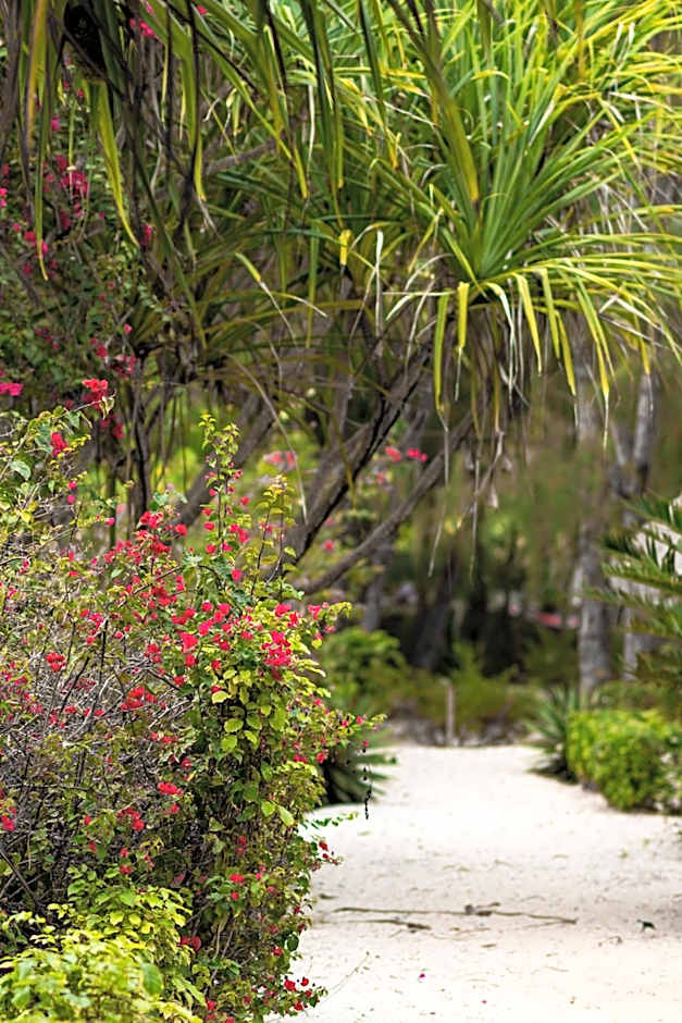 Hakuna Majiwe Beach Lodge Zanzibar