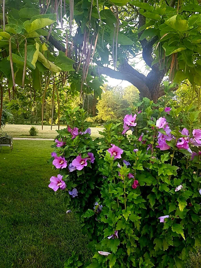 Château De La Coutancière