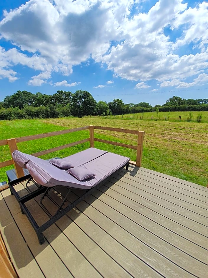 Dartmoor Reach Alpaca Farm