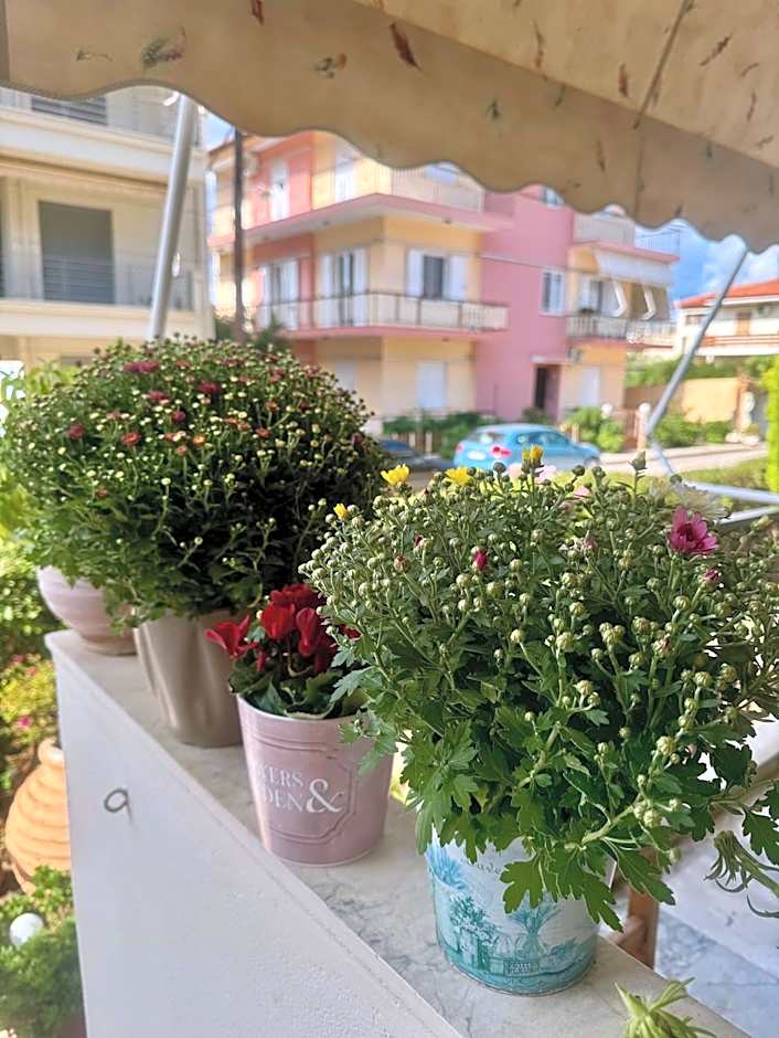 Theoxenia Paralio Astros