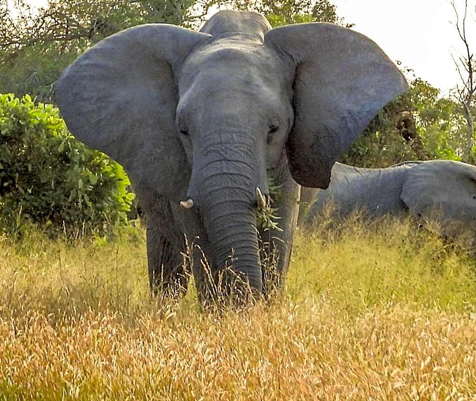 SleepOver Orpen Gate