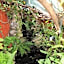 Zoete Inval Travelers Lodge Guesthouse Hermanus