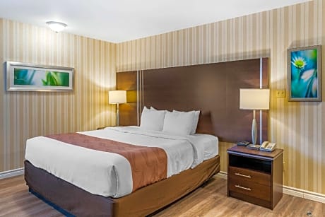 Standard with 1 King Bed