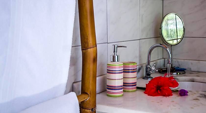 Planeta Banana Paraty