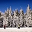 NATURE TITISEE - Easy.Life.Hotel.