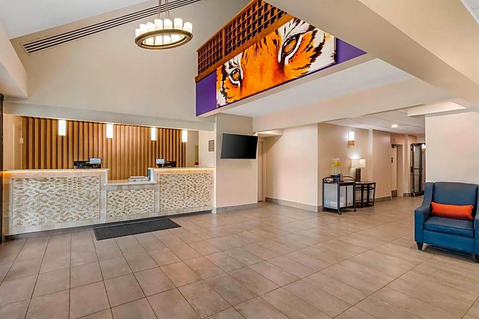Comfort Inn & Suites Clemson - University Area