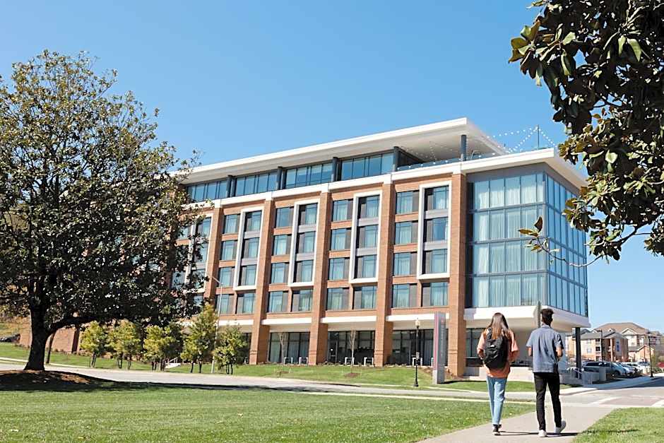 The Highlander at Radford, Tapestry Collection by Hilton