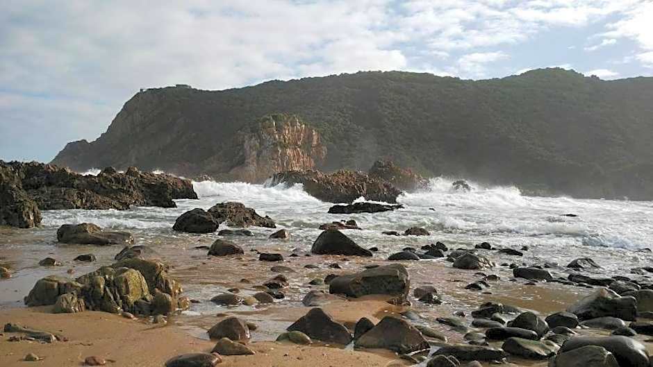 South Villa Guesthouse&Garden