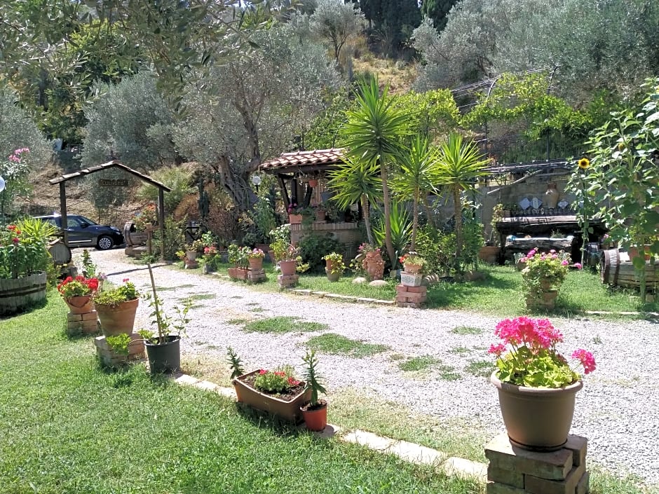 Agriturismo L'Uliveto