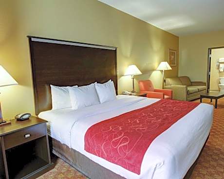 King Suite with Sofa Bed - Non-Smoking