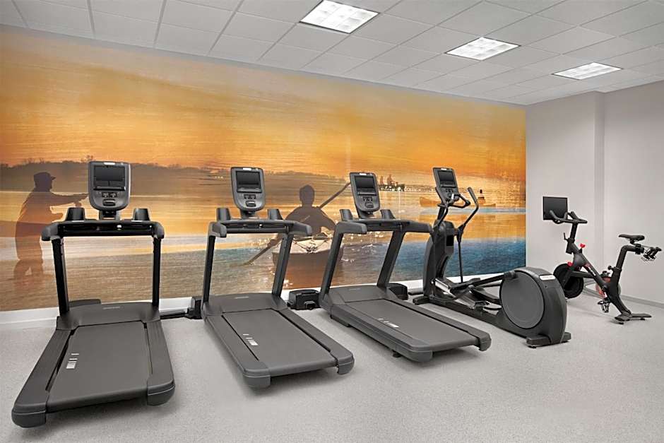 Hilton Garden Inn Dallas Lewisville