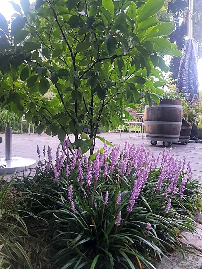 Theetuin Onder de Pannen