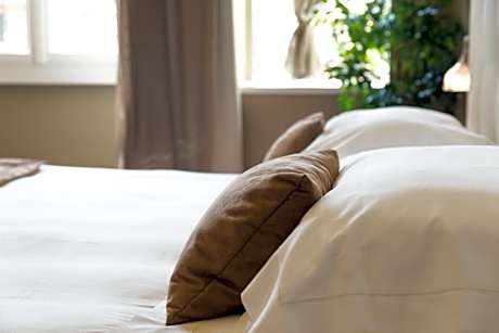 Deluxe Double Room with Pool Access