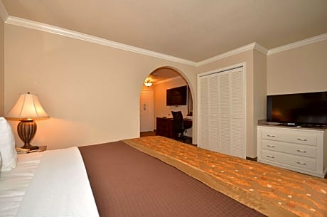 Suite-1 King Bed, Non-Smoking, 42 Inch Lcd Tv, Sofabed, Microwave And Refrigerator, Oversized Room, 