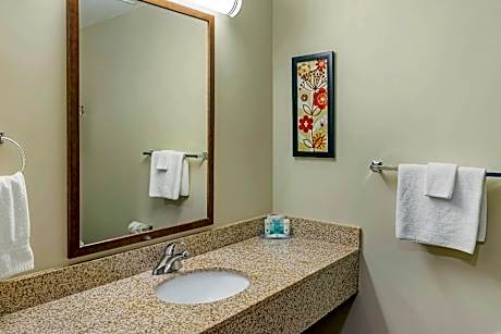 1 Queen Bed, Efficiency, Suite, Nonsmoking