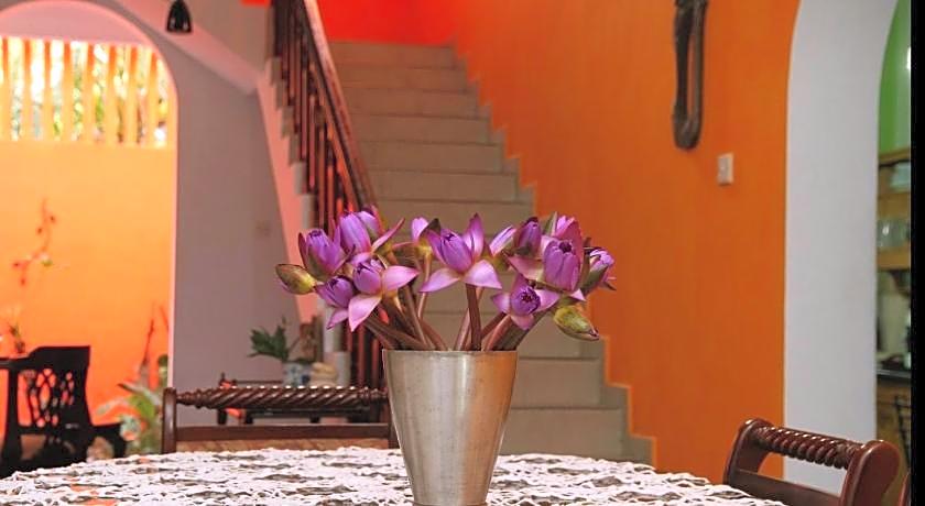 Breeze of Paradise Hotel