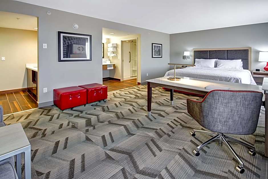 Hampton Inn By Hilton and Suites Medicine Hat, AB, Canada