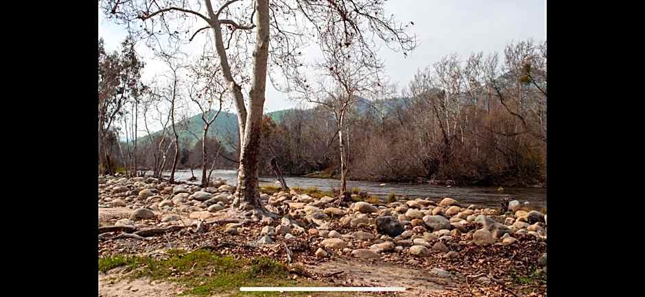 Sequoia River Front Cabins
