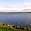 Lakeside Loughrea