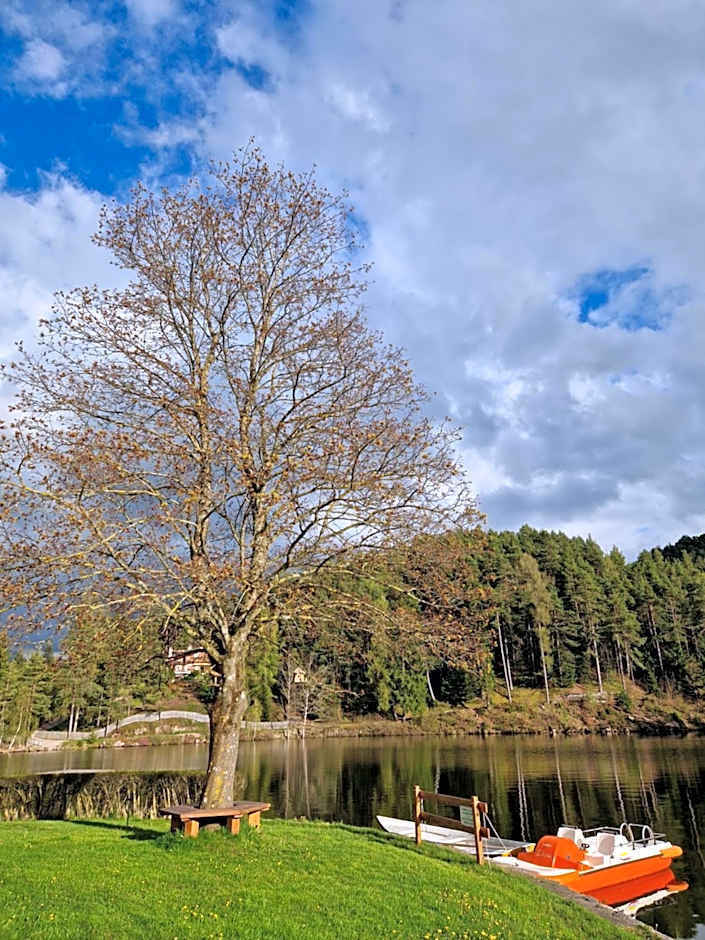 Hotel Am Wolfgrubenersee