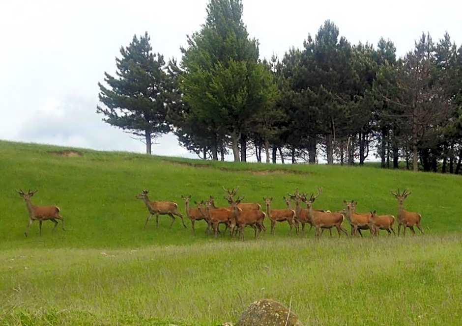 Albergo Ristorante Poli