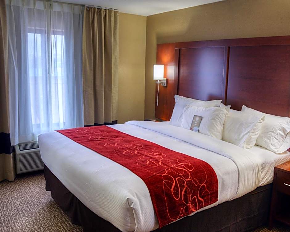Comfort Suites Plymouth near US-30