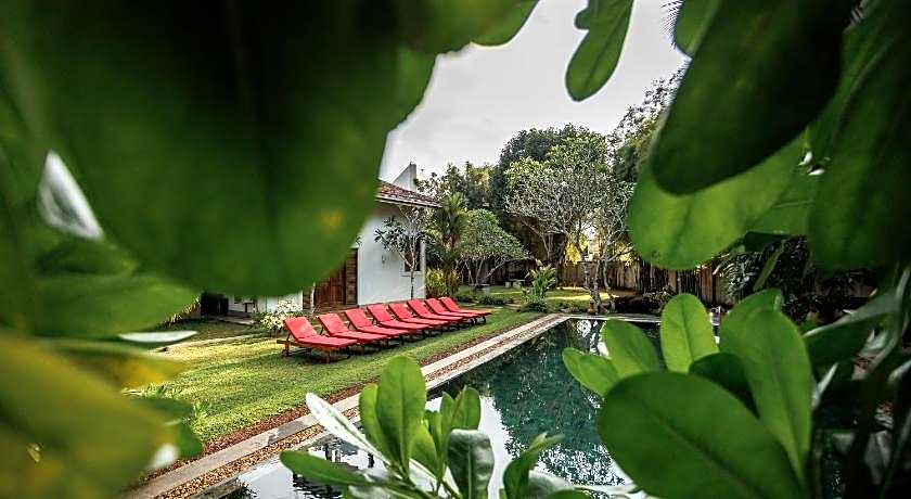 Villa White Queen