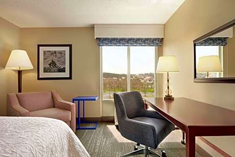 1 King Bed