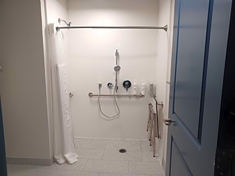 1 King Mobility/Hearing Accessible Ri Shower