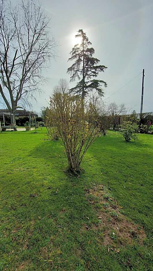 Villa Maëlla en Normandie- chambres tout confort - SPA