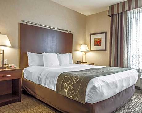 1 King Bed, Suite, Nonsmoking