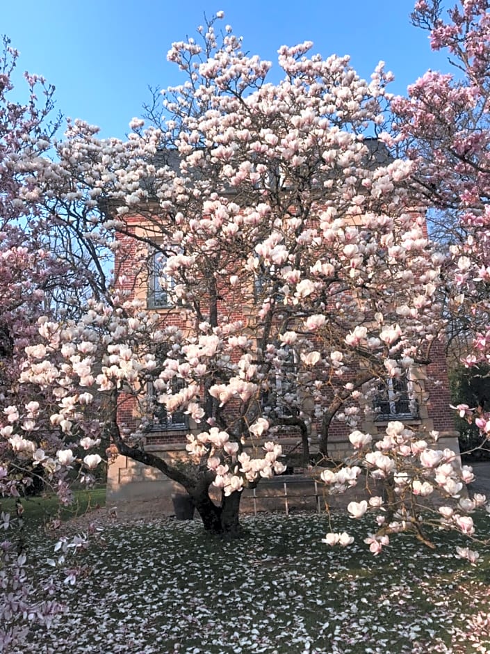 L'Atelier des Magnolias