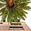 The Fort Sutter Sacramento Tapestry Collection by Hilton