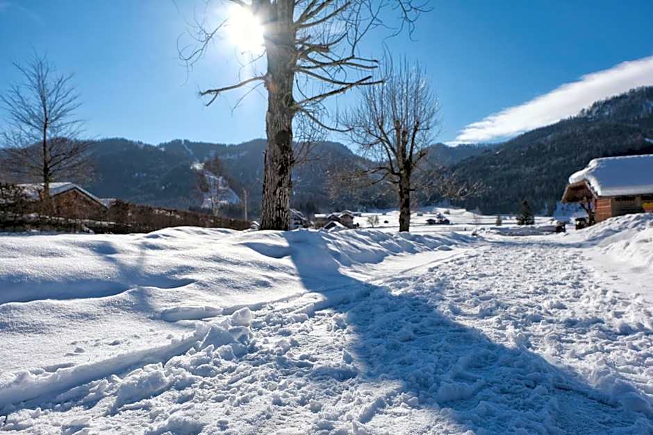 SeeHotel & SeeApartments Kärntnerhof- direkt am See!