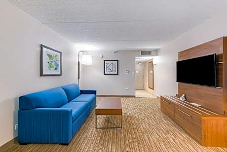 1 King Bed 1 Bedroom Suite Sofa Bed