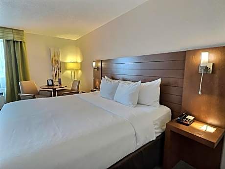 King Room - Non-Smoking