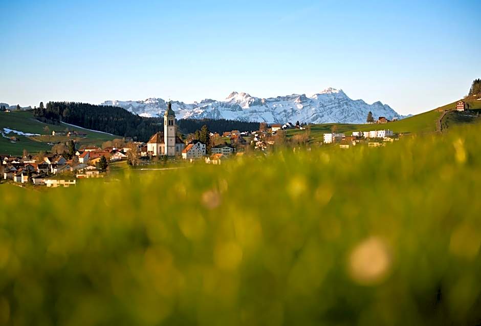 Hotel Krone Speicher