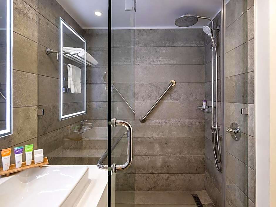 Novotel Santiago Providencia