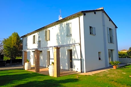 il leccio