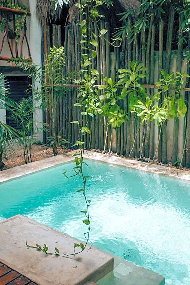 Orchid House Tulum Jungle