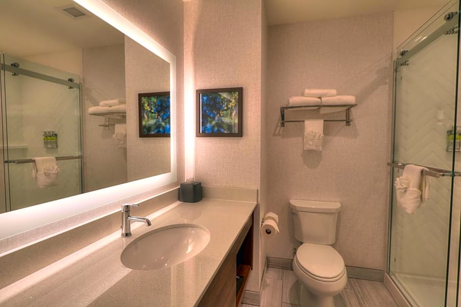 Holiday Inn & Suites Pigeon Forge Convention Center By IHG