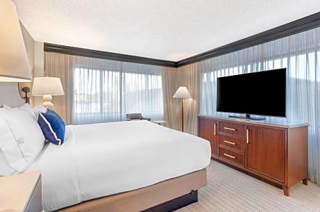 Executive Suite 1 King Bed
