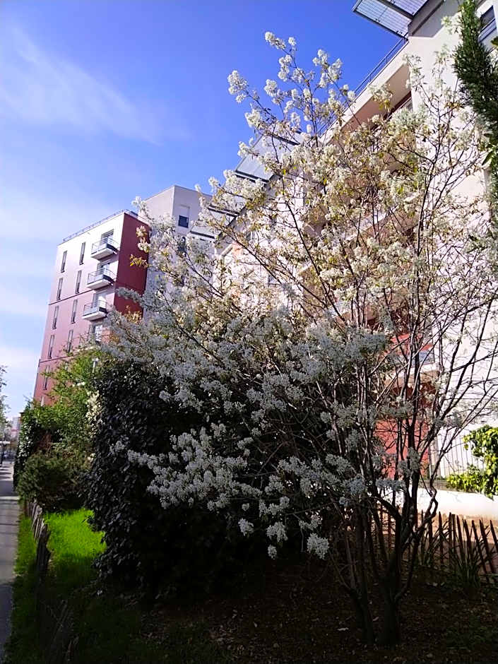 Privilodges Lyon