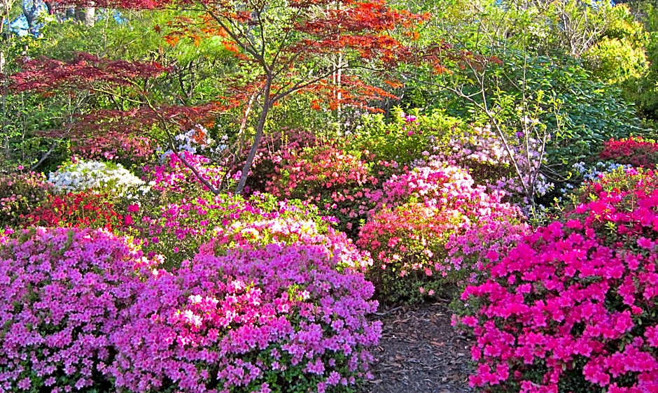 High Mountains Motor Inn